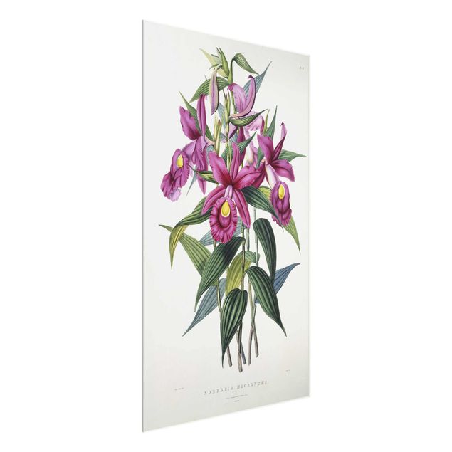 Glasschilderijen Maxim Gauci - Orchid I