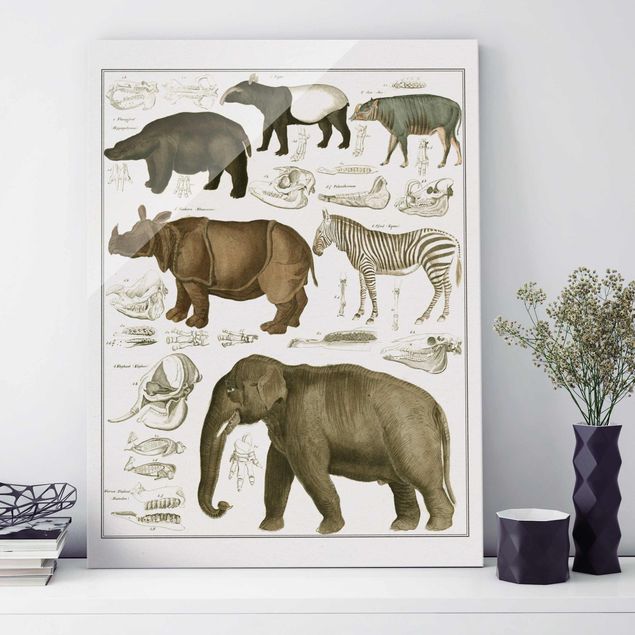 Glas Magnetboard Vintage Board Elephant, Zebra And Rhino