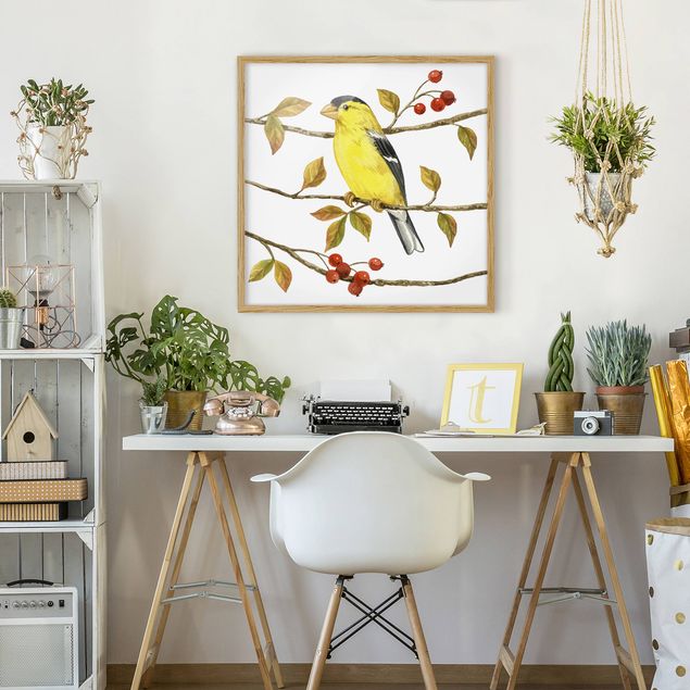 Ingelijste posters Birds And Berries - American Goldfinch