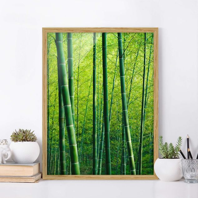 Ingelijste posters Bamboo Forest