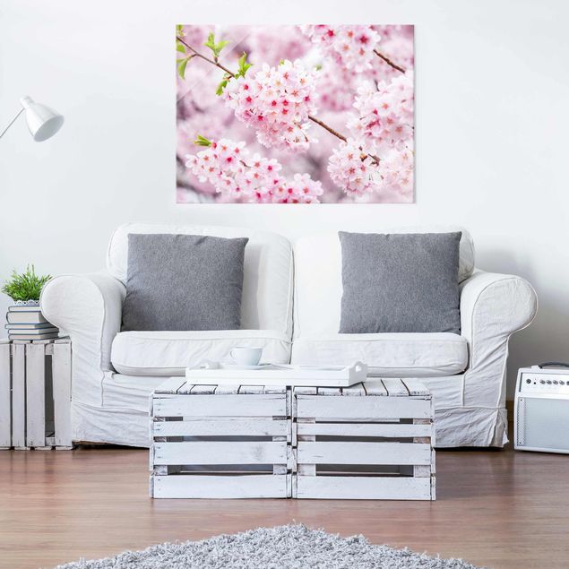 Glasschilderijen Japanese Cherry Blossoms