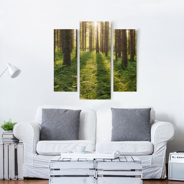 Canvas schilderijen - 3-delig Sun Rays In Green Forest