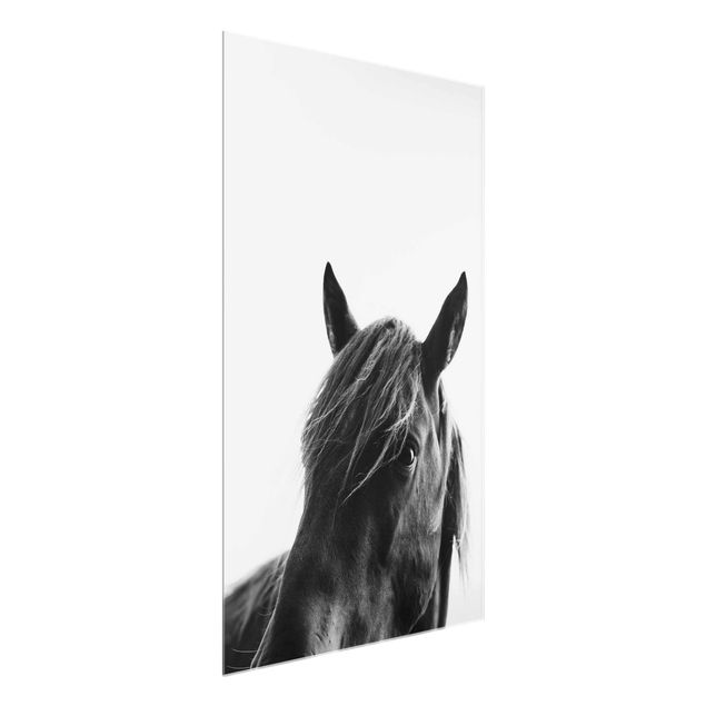 Glasschilderijen Curious Horse