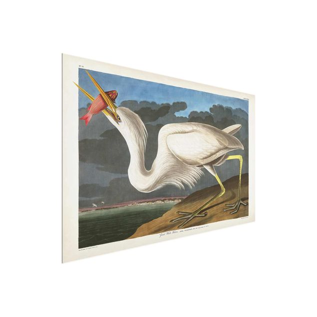 Glasschilderijen Vintage Board Great White Egret