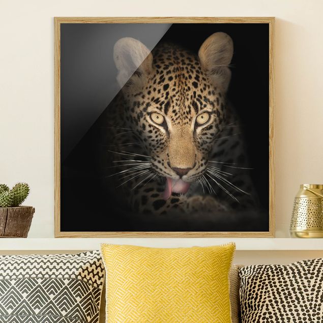 Ingelijste posters Resting Leopard