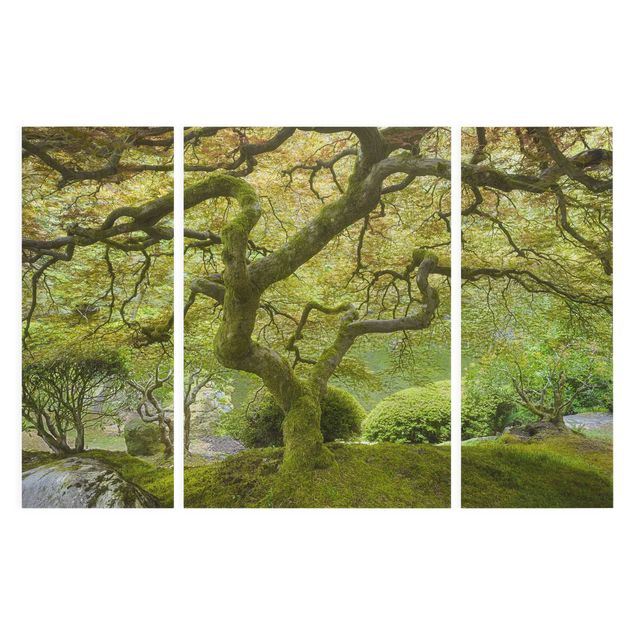 Canvas schilderijen - 3-delig Green Japanese Garden