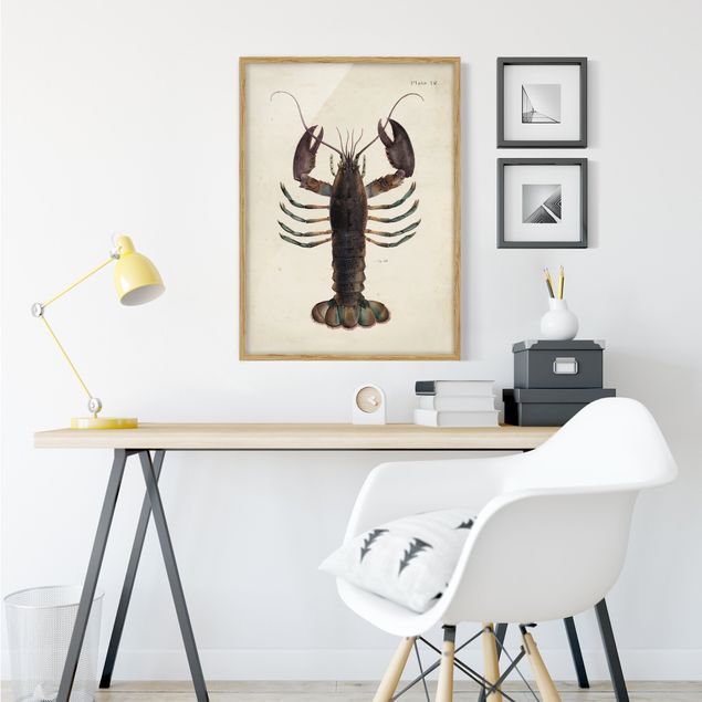 Ingelijste posters Vintage Illustration Lobster