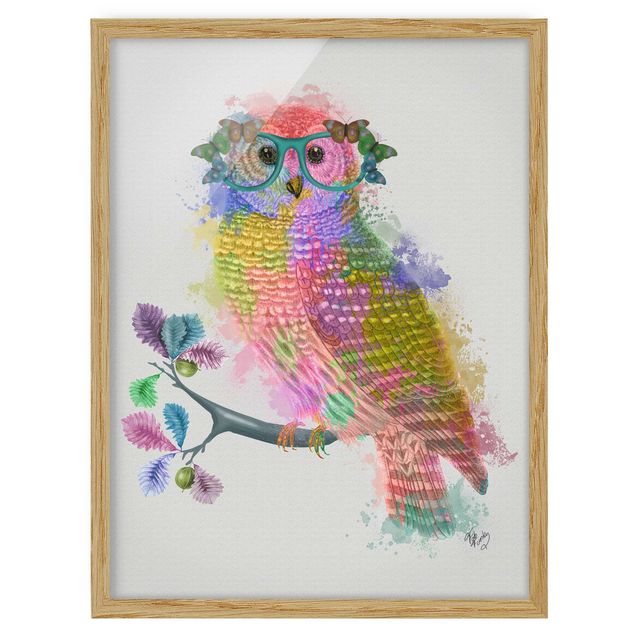 Ingelijste posters Rainbow Splash Owl