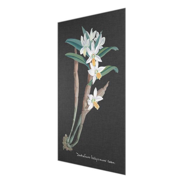 Glasschilderijen White Orchid On Linen I