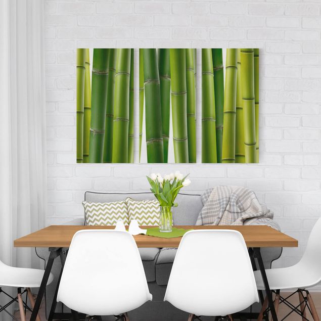 Canvas schilderijen - 3-delig Bamboo Plants