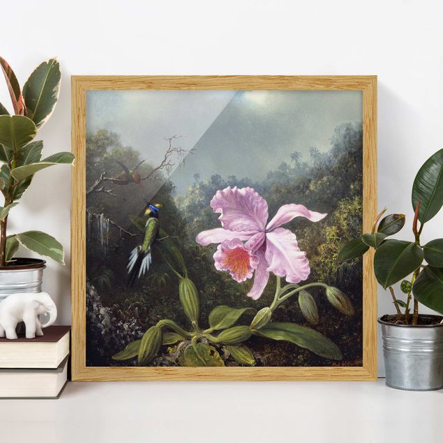 Ingelijste posters Martin Johnson Heade - Still Life With An Orchid And A Pair Of Hummingbirds