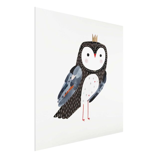 Glasschilderijen Crowned Owl Dark