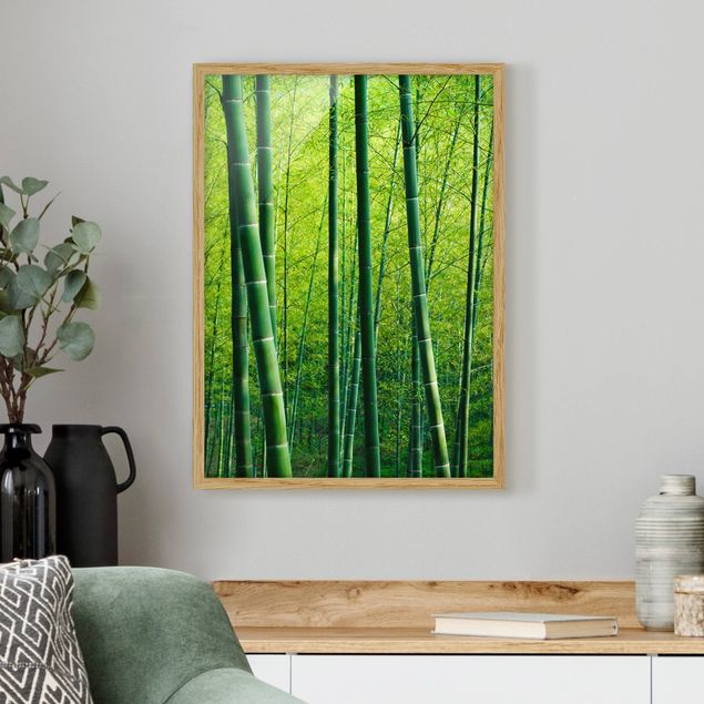 Ingelijste posters Bamboo Forest