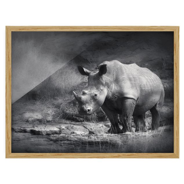 Ingelijste posters Lonesome Rhinoceros