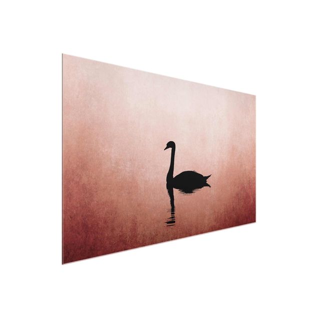 Glasschilderijen Swan In Sunset