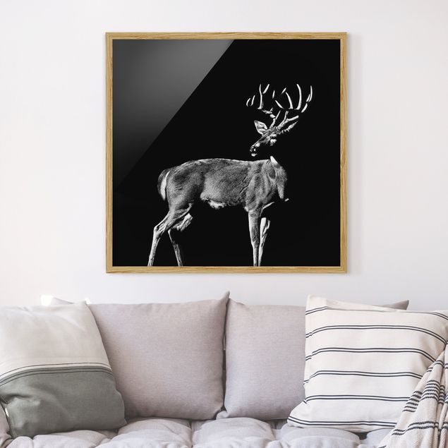 Ingelijste posters Deer In The Dark