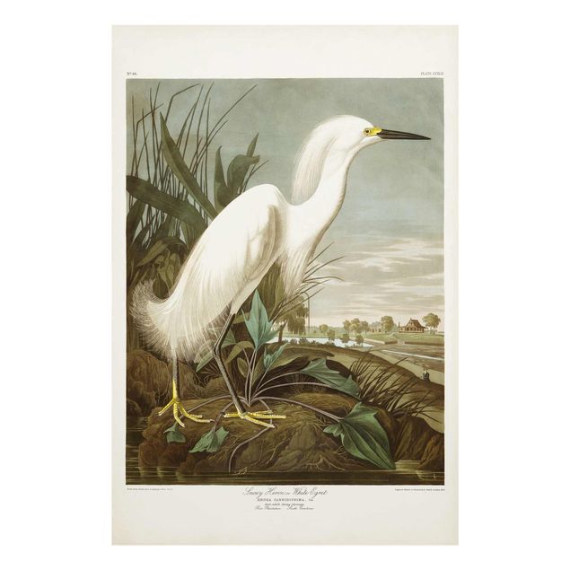 Glasschilderijen Vintage Board White Heron I