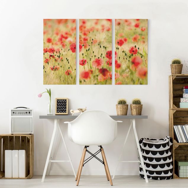 Canvas schilderijen - 3-delig Summer Poppies