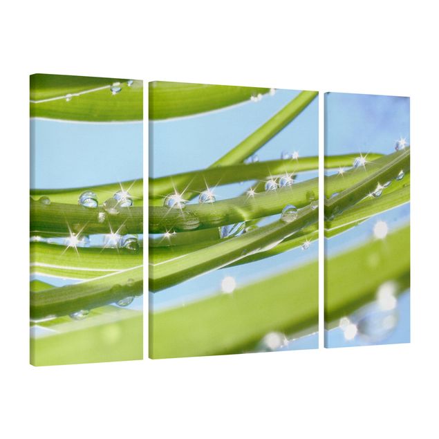Canvas schilderijen - 3-delig Fresh Green