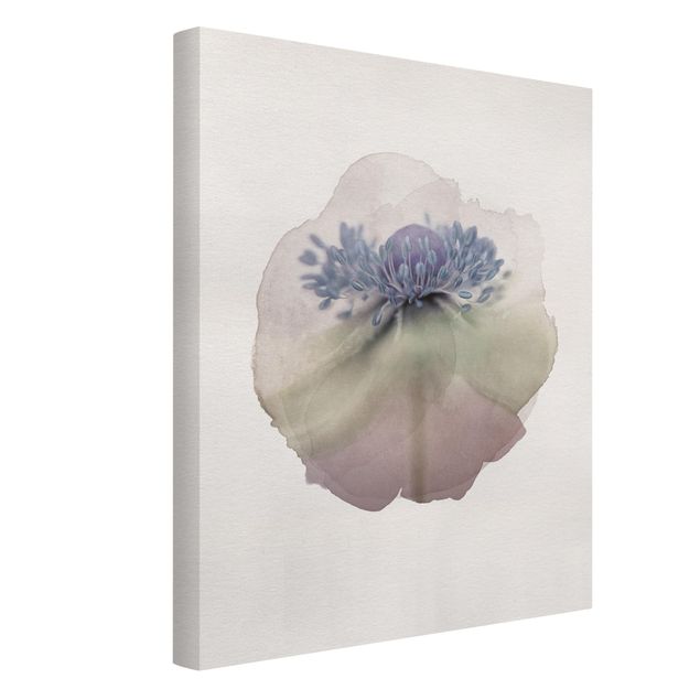 Canvas schilderijen WaterColours - Anemone In Violet