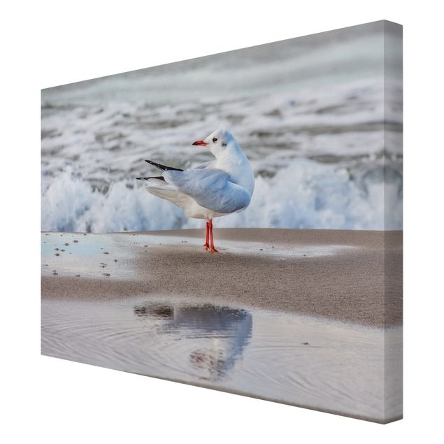 Canvas schilderijen Seagull On The Beach In Front Of The Sea