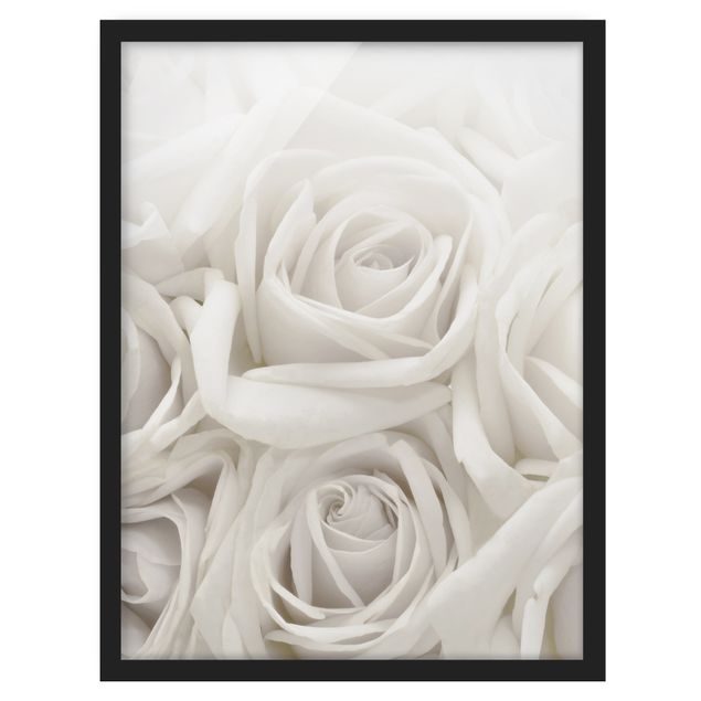 Ingelijste posters White Roses