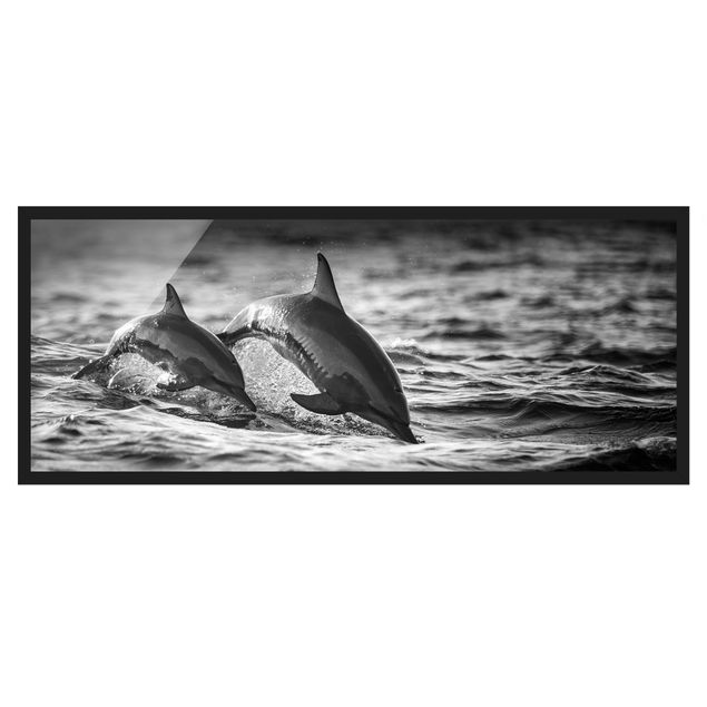 Ingelijste posters Two Jumping Dolphins