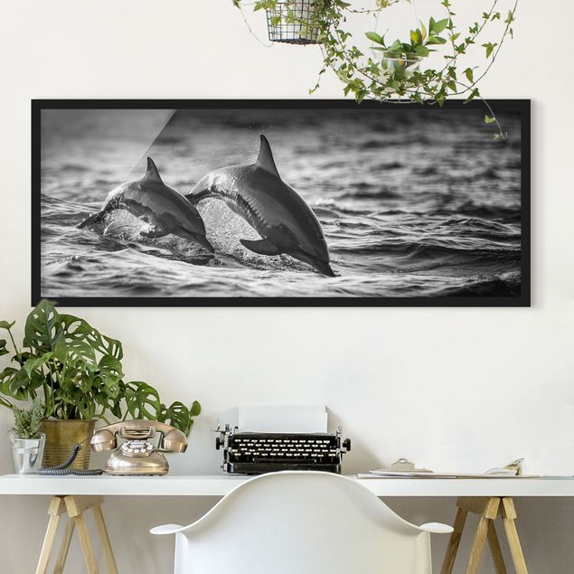 Ingelijste posters Two Jumping Dolphins