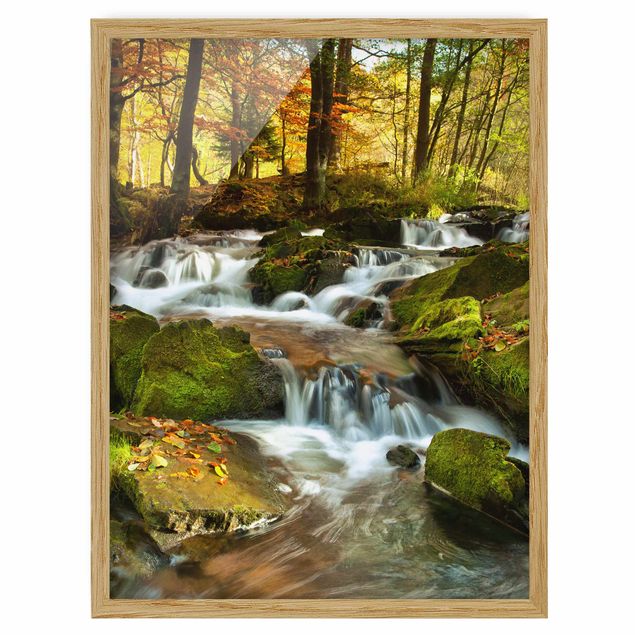 Ingelijste posters Waterfall Autumnal Forest