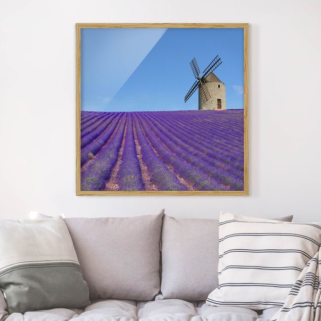 Ingelijste posters Lavender Scent In The Provence