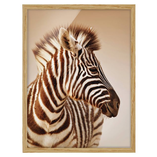 Ingelijste posters Zebra Baby Portrait