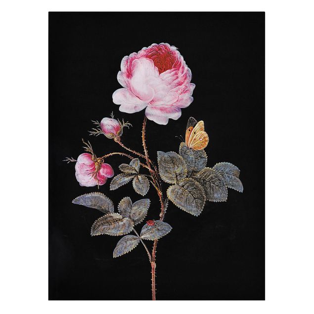 Canvas schilderijen Barbara Regina Dietzsch - The Hundred-Petalled Rose