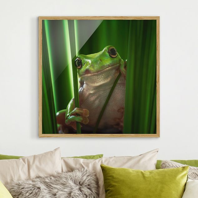 Ingelijste posters Merry Frog