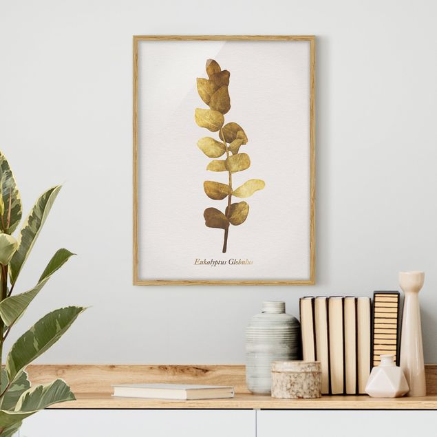 Ingelijste posters Gold - Eucalyptus