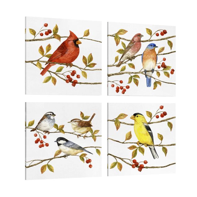 Canvas schilderijen - 4-delig Birds And Berries Set II