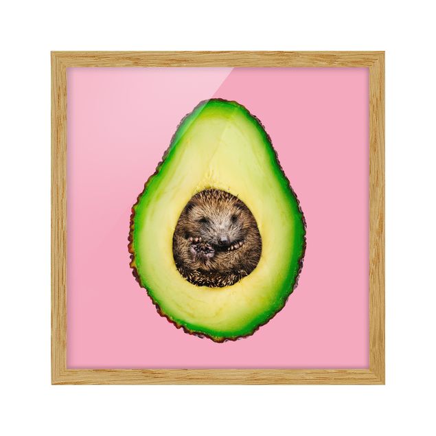 Ingelijste posters Avocado With Hedgehog