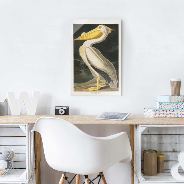 Glasschilderijen Vintage Board White Pelican