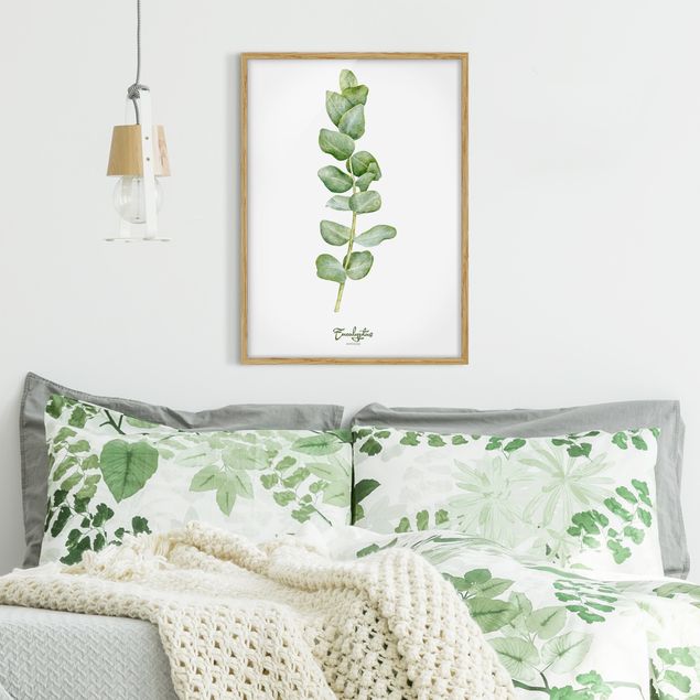 Ingelijste posters Watercolour Botany Eucalyptus