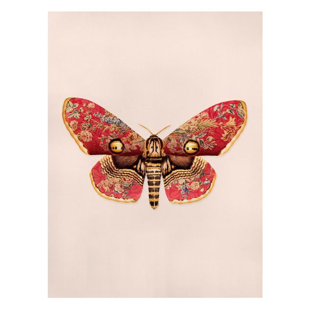 Canvas schilderijen Vintage Moth