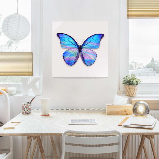Glas Magnettafel Holographic Butterfly