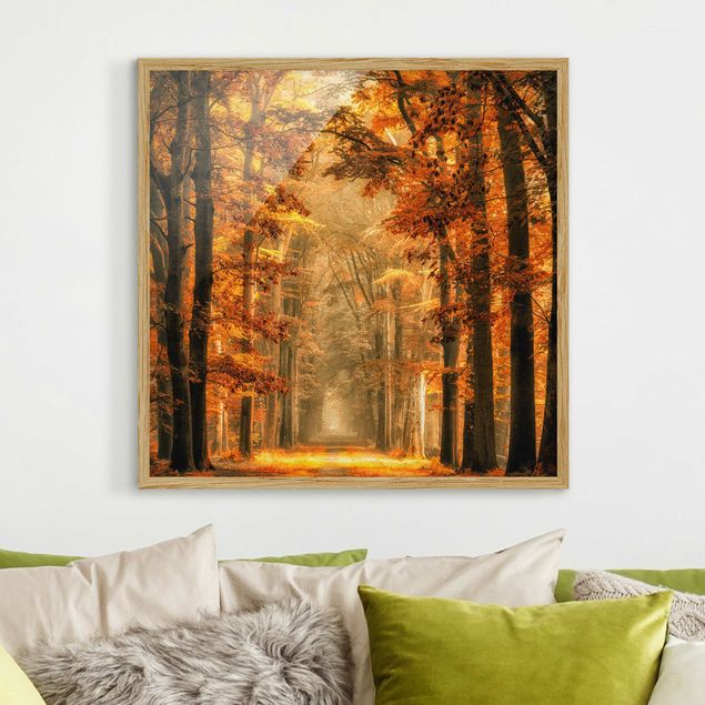 Ingelijste posters Enchanted Forest In Autumn