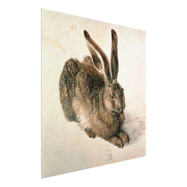 Glasschilderijen Albrecht Dürer - Young Hare
