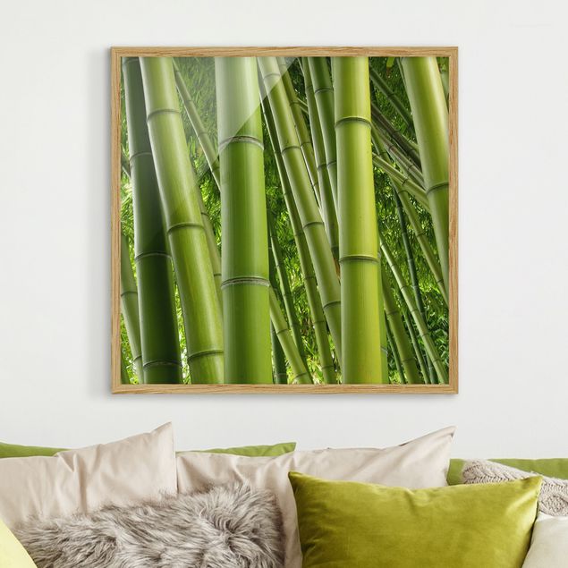 Ingelijste posters Bamboo Trees