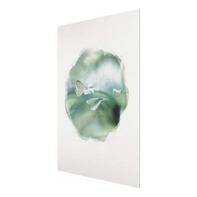 Glasschilderijen WaterColours - Butterfly And Dew Drops In Pastel Green