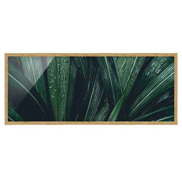 Ingelijste posters Green Palm Leaves