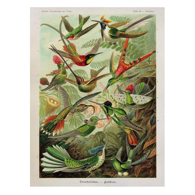 Canvas schilderijen Vintage Board Hummingbirds