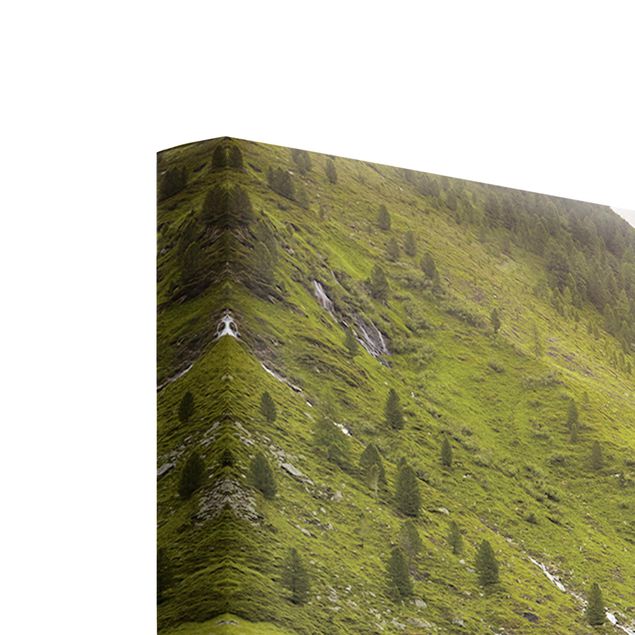 Canvas schilderijen - 3-delig Alpine meadow Tirol