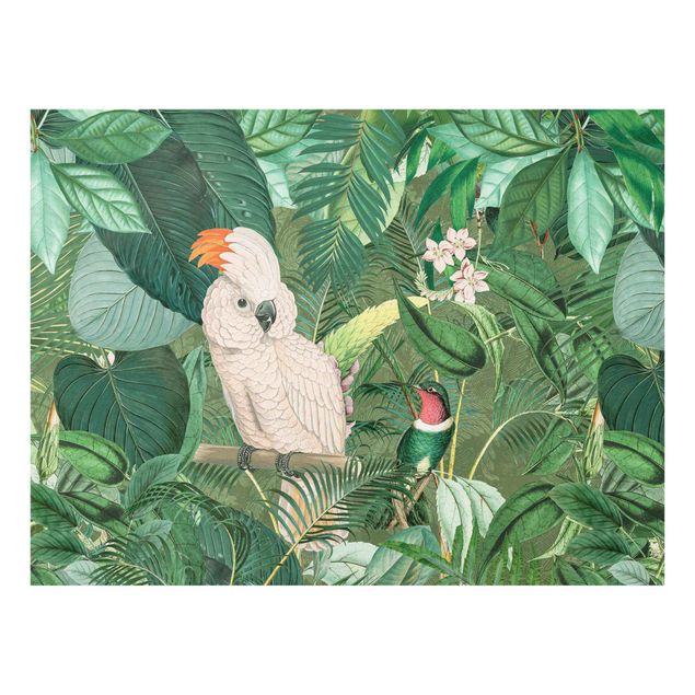 Glasschilderijen Vintage Collage - Kakadu And Hummingbird