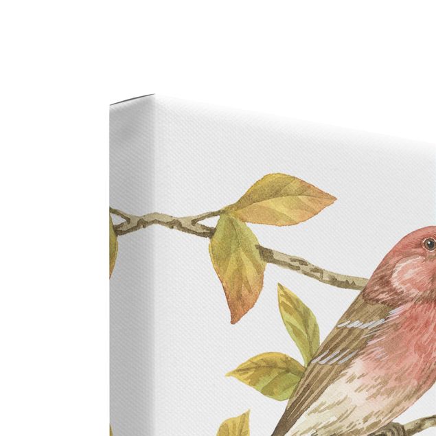 Canvas schilderijen - 2-delig  Birds And Berries Set I
