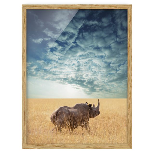 Ingelijste posters Rhino In The Savannah